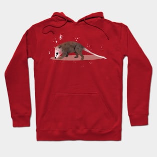 Possum Painting Hand Drawn Hoodie